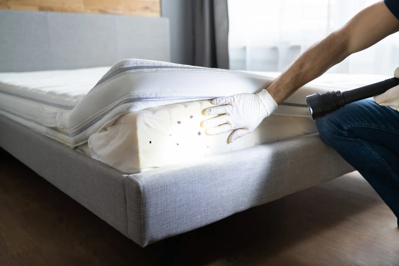 Technicien Insectermine inspectant un matelas à la recherche de punaises de lit